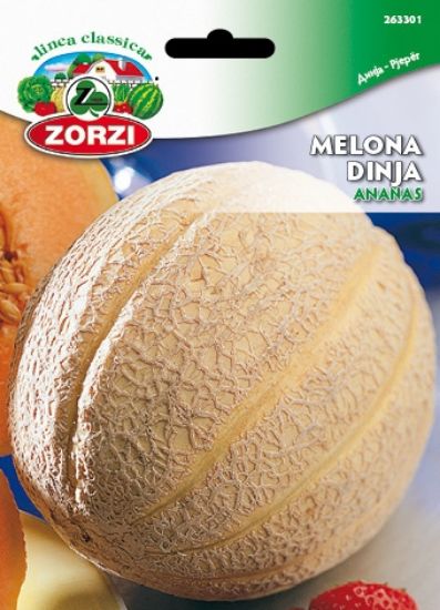 Slika Melona Ananas - Semenska vrečka Zorzi