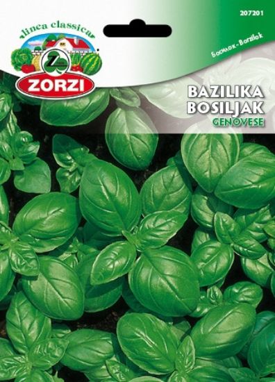 Bild von Bazilika Genovese - Semenska vrečka Zorzi