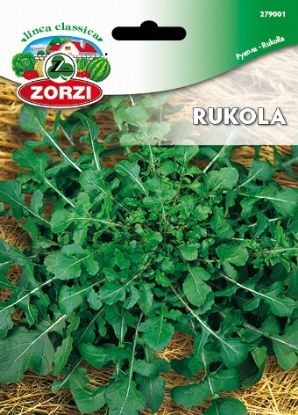 Slika Rukola Udomačena - Semenska vrečka Zorzi