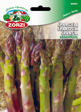 Slika Špargelj Argenteuil - Semenska vrečka Zorzi