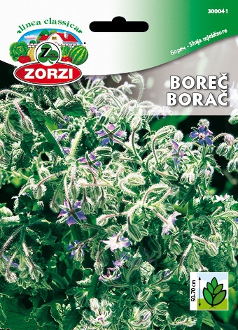 Picture of Borage - Zorzi seed packet