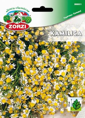Picture of Camomile - Zorzi seed packet