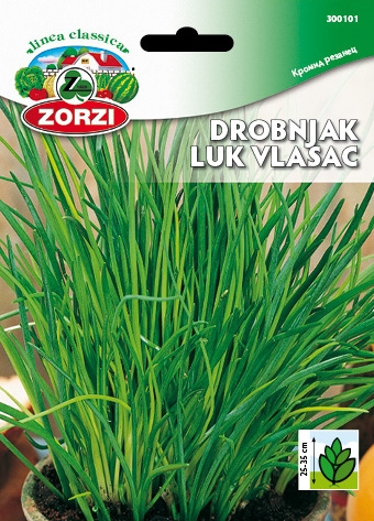 Bild von Schnittlauch - Zorzi Samenbeutel