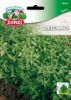 Picture of Oregano - Zorzi seed packet