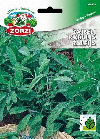 Bild von Salbei - Zorzi Samenbeutel