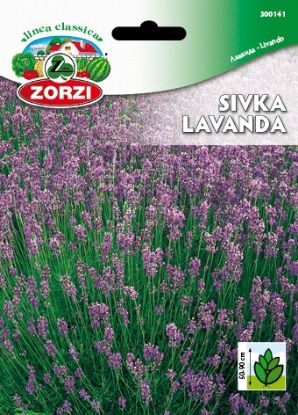 Slika Sivka - Semenska vrečka Zorzi