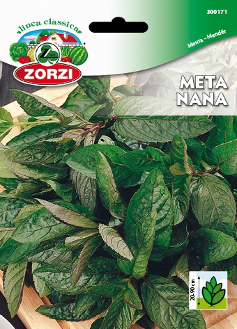 Picture of Mint - Zorzi seed packet