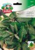 Picture of Mint - Zorzi seed packet