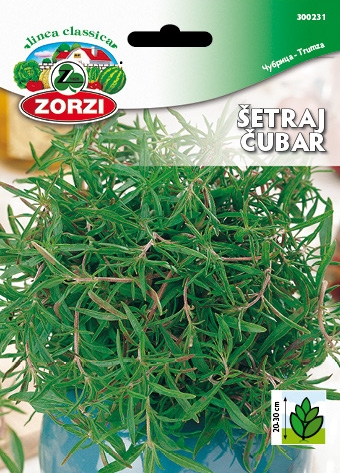 Bild von Bohnenkraut - Zorzi Samenbeutel