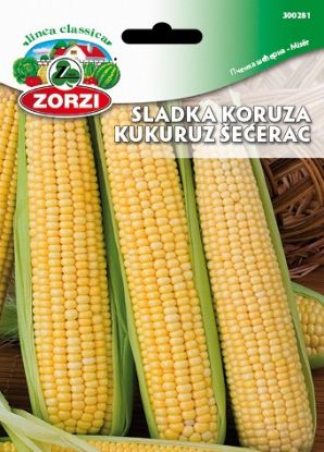 Slika Sladka koruza - Semenska vrečka Zorzi