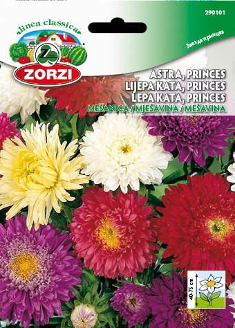 Bild von Prinzess-Aster-Mischung - Zorzi Samenbeutel