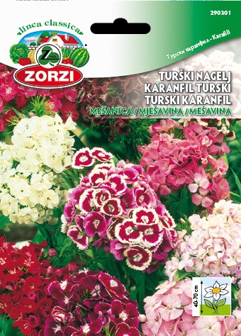 Bild von Türkische Nelken Mischung - Zorzi Samenbeutel