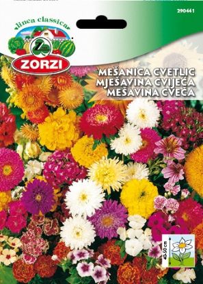 Picture of Mešanica cvetlic - Semenska vrečka Zorzi