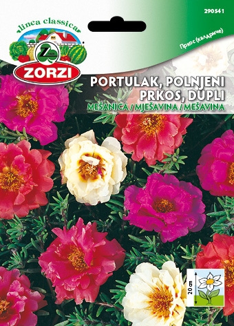 Bild von Portulakröschen Gefüllte Mischung - Zorzi Samenbeutel