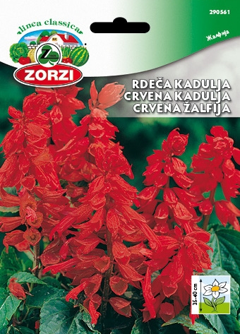 Bild von Feuer-Salbei / Salvie - Zorzi Samenbeutel