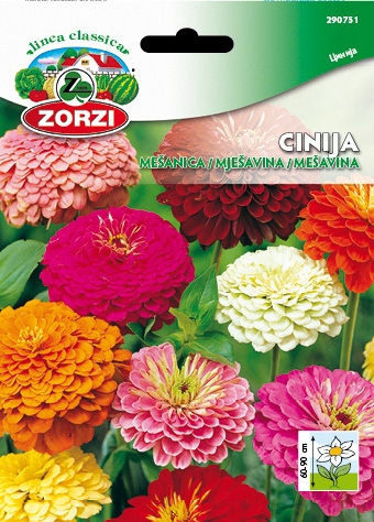 Bild von Mehrblütige Zinnien Mischung - Zorzi Samenbeutel