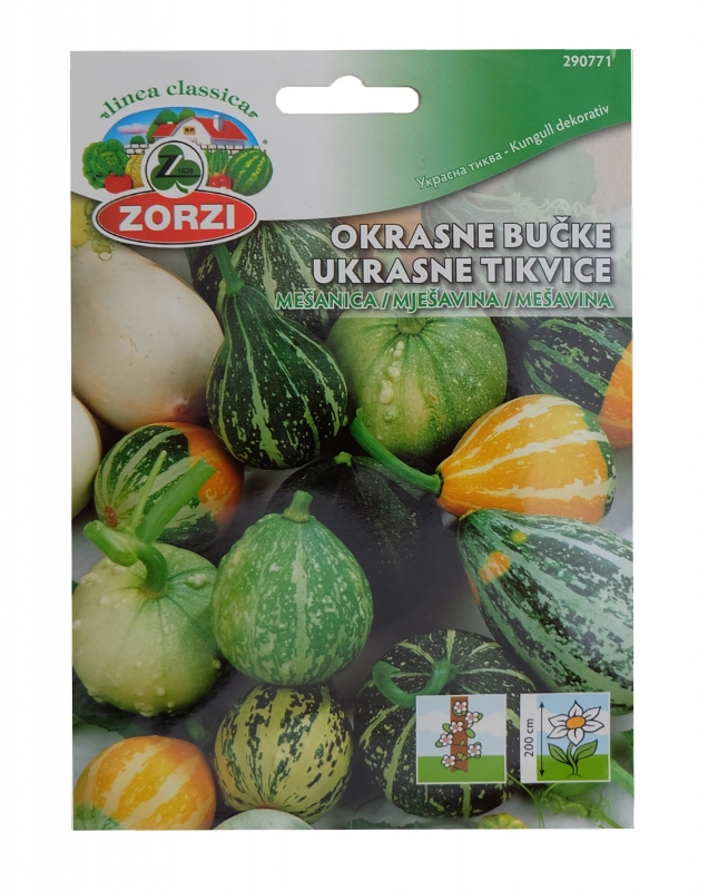 Bild von Zierkürbis Mischung - Zorzi Samenbeutel