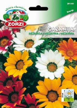 Picture of Gazania Mix - Zorzi seed packet