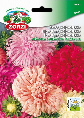 Picture of Aster Ostrich Feather Mix - Zorzi seed packet