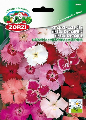 Bild von Chineser-Nelken Mischung - Zorzi Samenbeutel