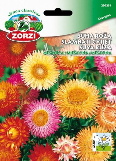Bild von Suha roža mešanica - Semenska vrečka Zorzi