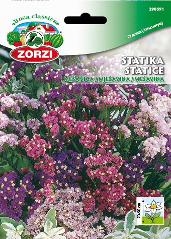Picture of Statice or Wavyleaf sea lavender Mix - Zorzi seed packet