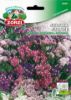 Picture of Statice or Wavyleaf sea lavender Mix - Zorzi seed packet