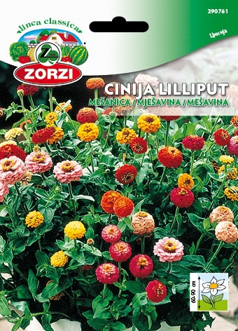 Bild von Zinnie Lilliput kleinblütig Mischung - Zorzi Samenbeutel