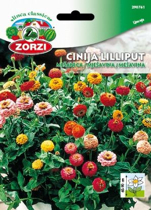 Bild von Cinija Liliput drobnocvetna mešanica - Semenska vrečka Zorzi