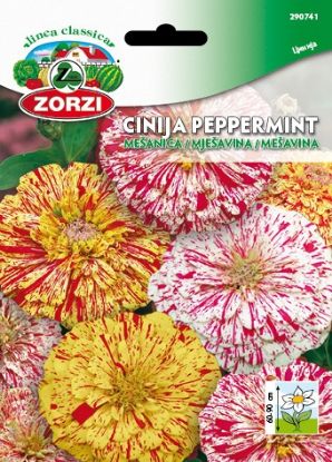 Picture of Cinija peppermint mešanica - Semenska vrečka Zorzi