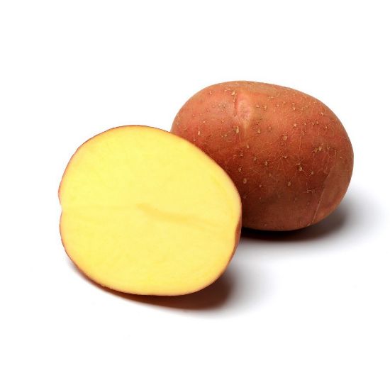 Bild von Bellarosa krompir semenski A 35/55 25kg