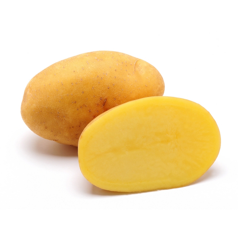 Bild von Pflanzkartoffeln Solara, A 35/55, 25kg