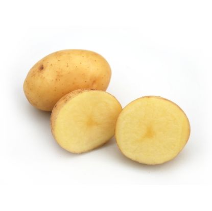 Bild von Pflanzkartoffeln Monalisa, E 35/55, 10kg