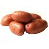 Picture of Desiree seed potatoes, A 28/35, 25kg