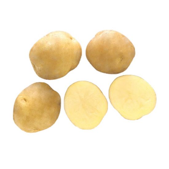 Slika Jaerla krompir semenski A 35/55 10kg