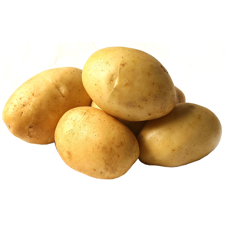 Picture of Kennebec seed potatoes, A 35/55, 25kg