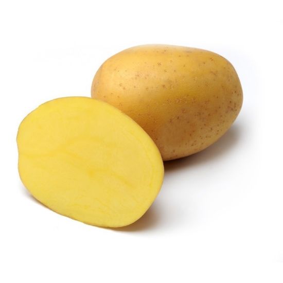 Bild von Anuschka krompir semenski A 28/35 25kg
