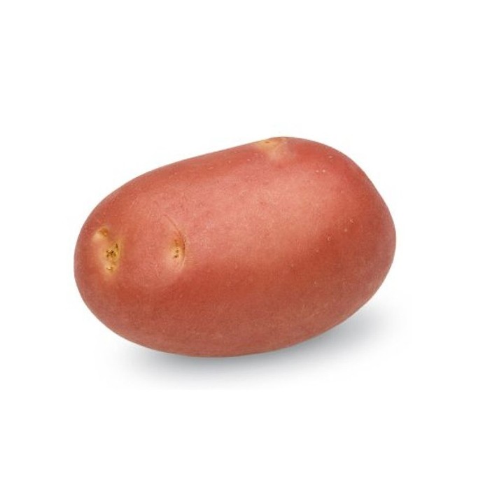 Picture of Mozart seed potatoes, A 28/35, 25kg