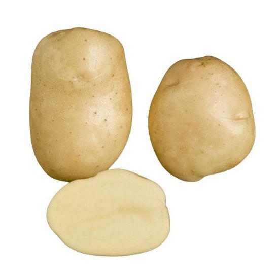 Bild von Primura krompir semenski A 28/35 2,5kg