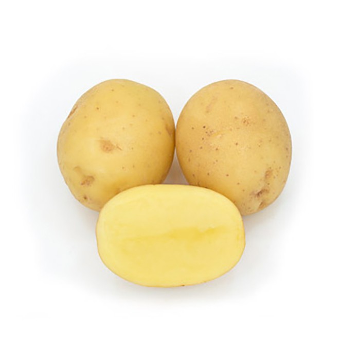 Picture of Actrice seed potatoes, A 35/55, 5kg