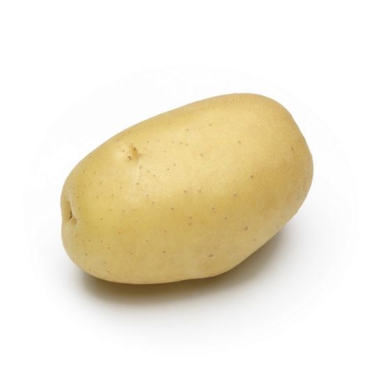 Slika Sylvana krompir semenski A 35/55 25kg
