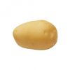Picture of Adora seed potatoes, A 35/45, 25kg
