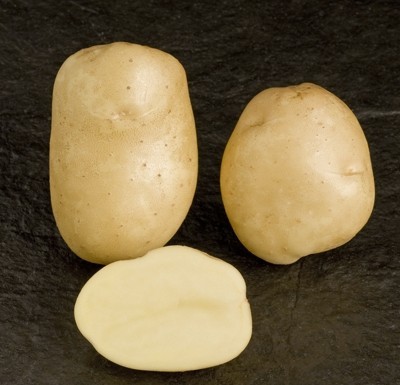 Bild von Pflanzkartoffeln Primura, A 45/55, 10kg