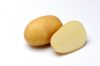 Slika Catania krompir semenski A 35/55 10kg