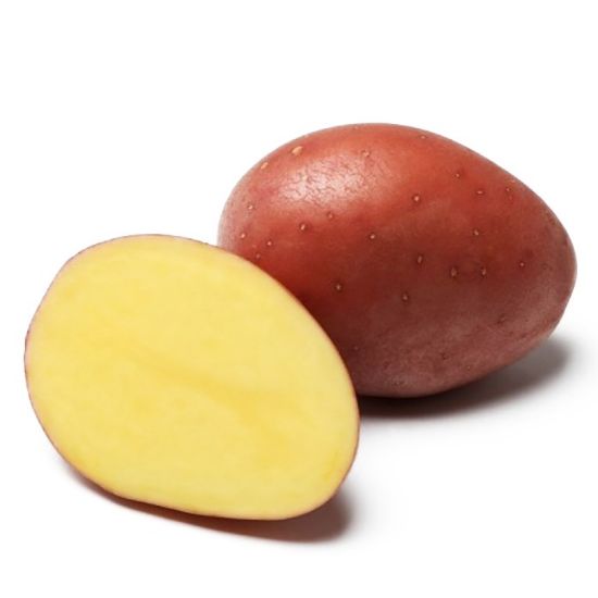 Slika Red Fantasy krompir semenski A 35/55 10kg