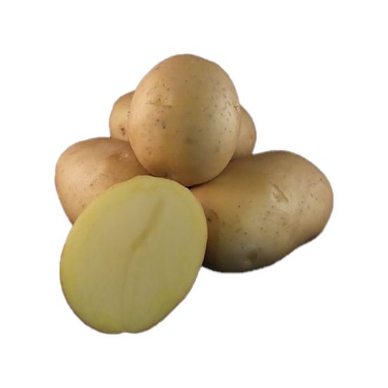 Bild von Montreal krompir semenski A 28/35 2,5kg