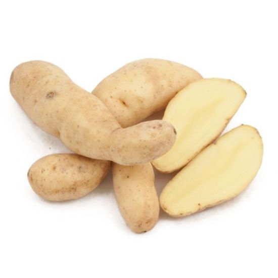 Slika Ratte krompir semenski A 32/45 2,5kg