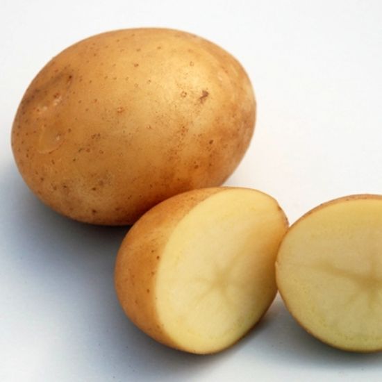 Slika Draga krompir semenski E 35/55 25 kg