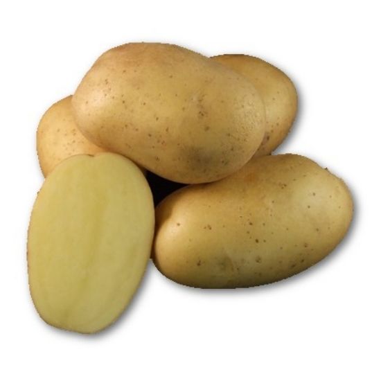 Slika Barcelona krompir semenski A 28/35 25kg