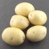 Bild von Colomba krompir semenski A 28/35 25kg